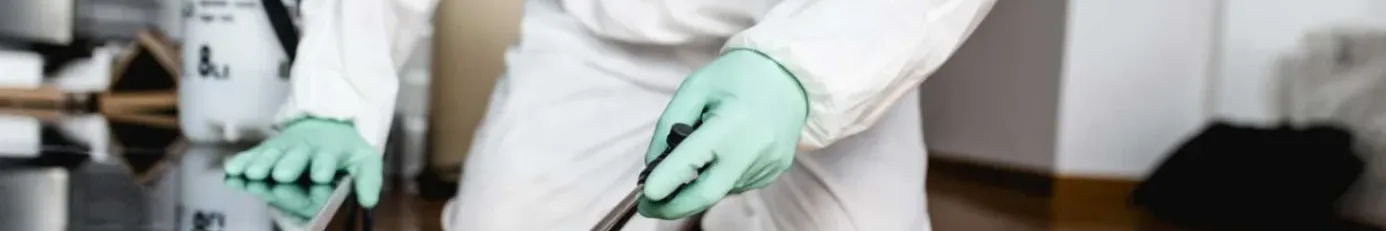 home-improvement banner