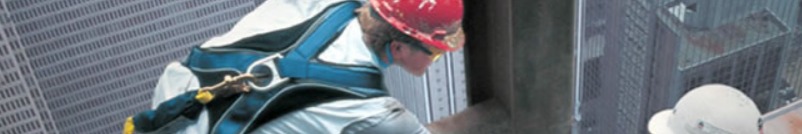 local-services banner